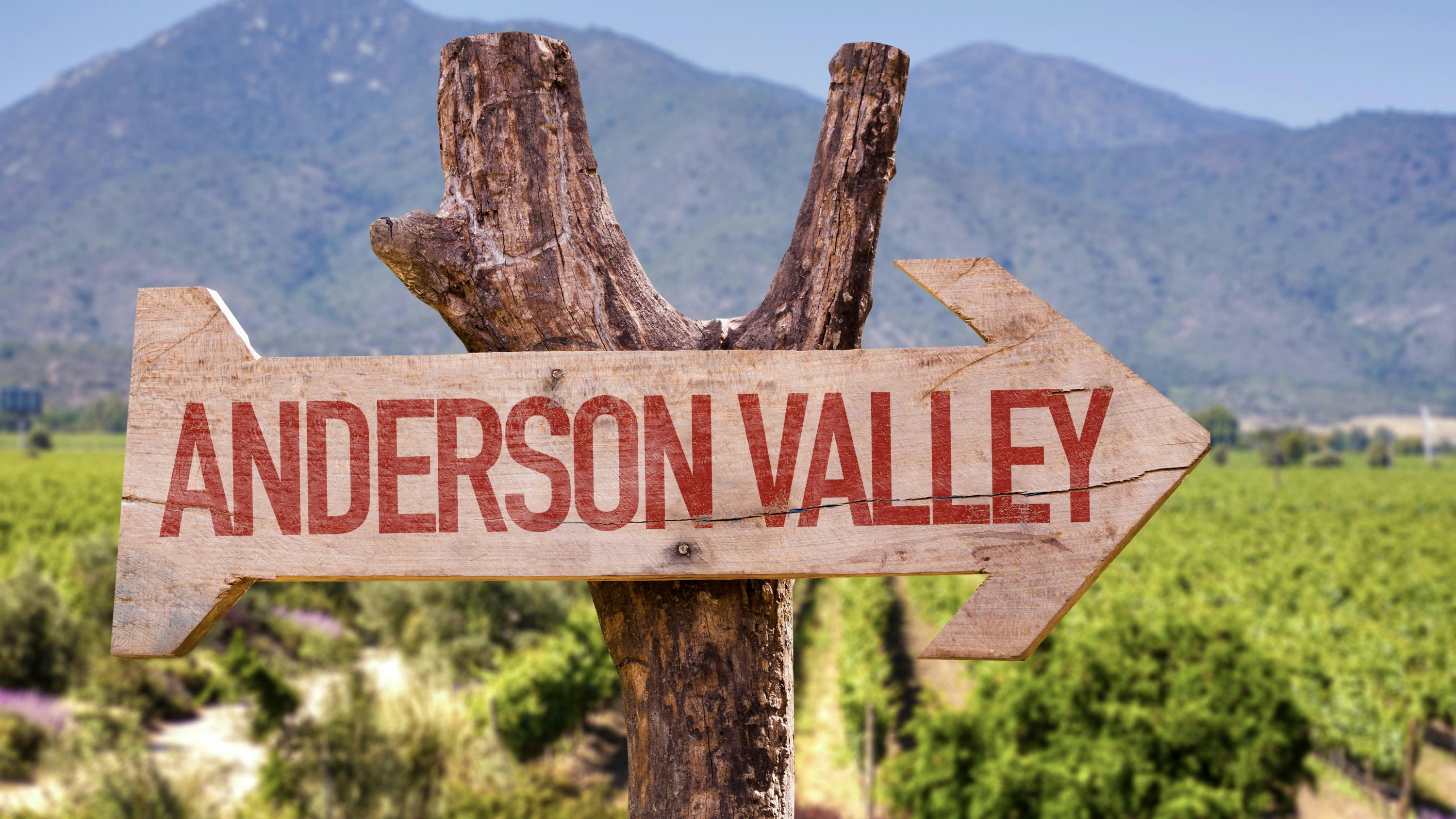 Anderson Valley Sign Highway 28 California Via Magazine Shutterstock 324443255 ?h=8f9cfe54&itok=TtOFxOsc?w=1400&h=700&crop=faces,edges
