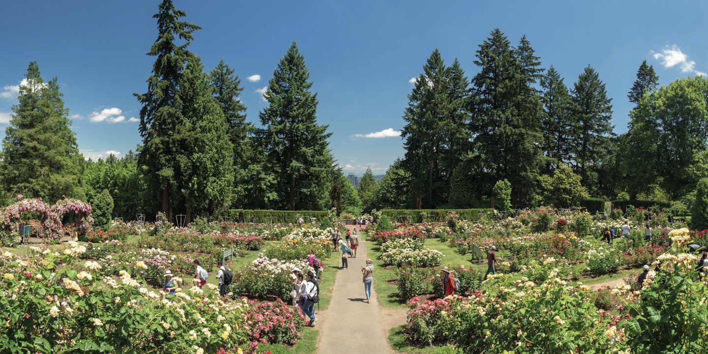 Guide to Washington Park in Portland | Via