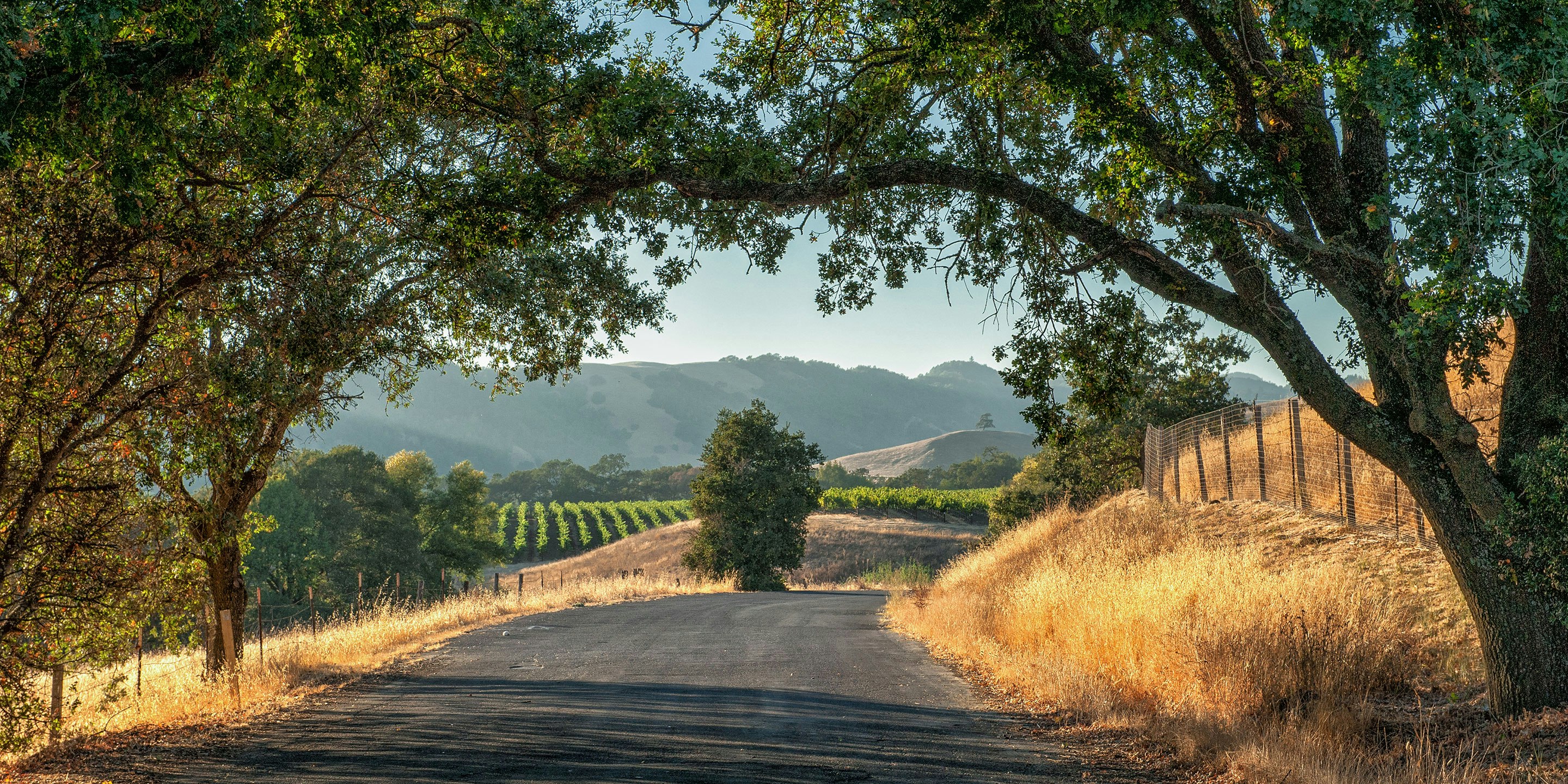 The Ultimate Guide to Sonoma County Via